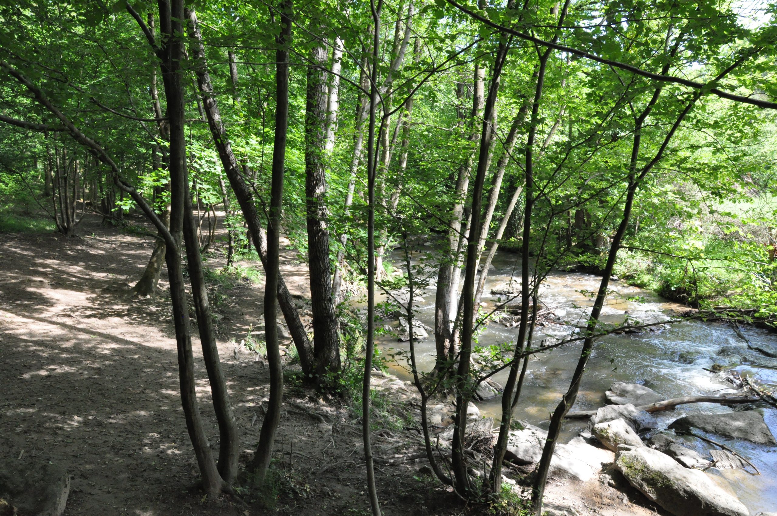 Projet Nature Yzeron