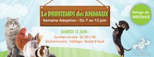 Journée adoption-SPA Brignais-12.06.21